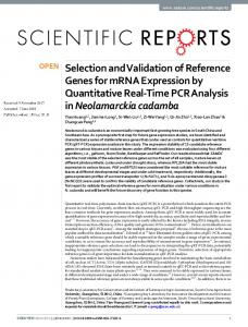 Selection and Validation of Reference Genes for