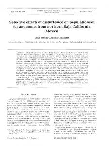 Selective effects of disturbance on populations of sea ... - Inter Research