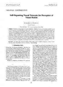 Self-Organizing Neural Networks for Perception of Visual Motion