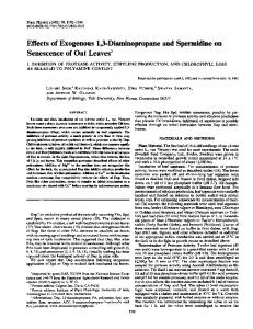 Senescence of Oat Leaves - Plant Physiology