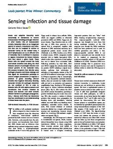 Sensing infection and tissue damage - Semantic Scholar