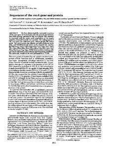 Sequences of the recA gene and protein