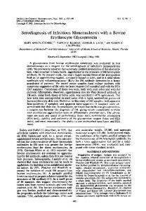 Serodiagnosis of Infectious Mononucleosis with a Bovine Erythrocyte ...