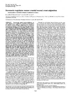 Serotonin regulates mouse cranial neural crest migration