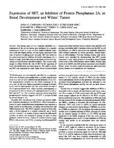 SET, an Inhibitor of Protein Phosphatase 2A, in ... - Semantic Scholar