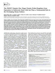 SET Domain Zinc Finger Protein Prdm4