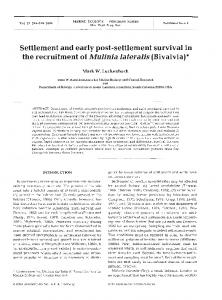 Settlement and early post-settlement survival in the ... - Inter Research