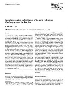 Sexual reproduction and settlement of the coral reef ... - Springer Link