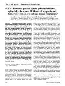 SGLT-1-mediated glucose uptake protects ... - The FASEB Journal