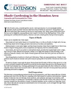 Shade Gardening in the Houston Area