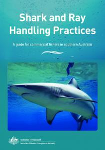 Shark and Ray Handling Practices - The Australian Fisheries ...
