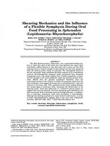 Shearing Mechanics and the Influence of a ... - Wiley Online Library