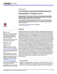 Shigella sonnei - PLOS