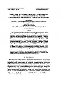 SHOCK AND BOUNDARY STRUCTURE FORMATION BY ... - CiteSeerX