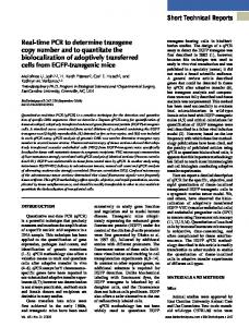 Short Technical Reports Real-time PCR to determine ... - BioTechniques