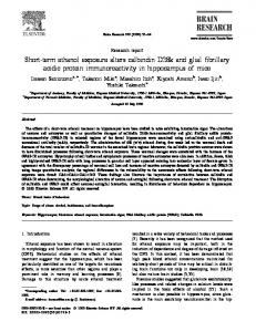 Short-term ethanol exposure alters calbindin D28k