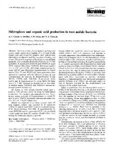 Siderophore and organic acid production in root ... - Springer Link