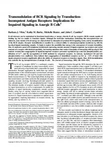 Signaling in Anergic B Cells Receptors - The Journal of Immunology