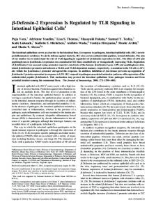 Signaling in Intestinal Epithelial Cells - The Journal of Immunology