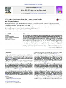 silver nanocomposites