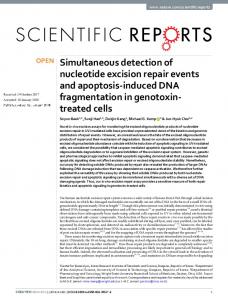 Simultaneous detection of nucleotide excision repair ...