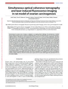 Simultaneous optical coherence tomography and