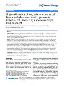 Single-cell analysis of lung adenocarcinoma cell lines ... - Springer Link