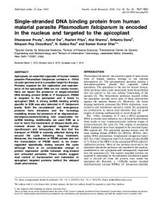 Single-stranded DNA binding protein from human malarial ... | CiteSeerX