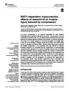 SIRT1-dependent myoprotective effects of ... - Semantic Scholar