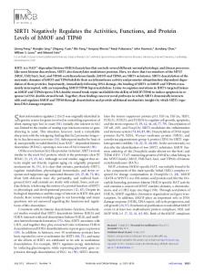 SIRT1 Negatively Regulates the Activities, Functions ...