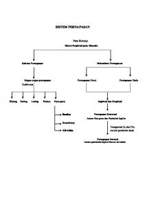 SISTEM PERNAPASAN - File UPI