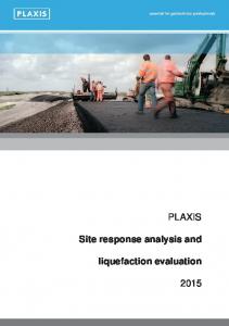 Site response analysis and liquefaction evaluation