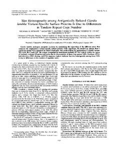 Size Heterogeneity among Antigenically Related Giardia lamblia