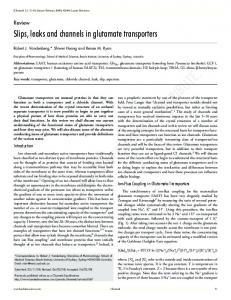 Slips, leaks and channels in glutamate transporters