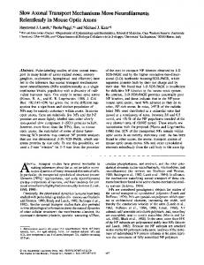 Slow Axonal Transport Mechanisms Move