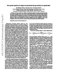 Slow quench dynamics of a trapped one-dimensional Bose gas ...