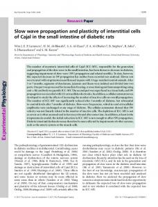 Slow wave propagation and plasticity of ... - Wiley Online Library