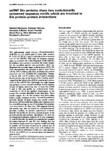 Sm protein-protein interactions - NCBI