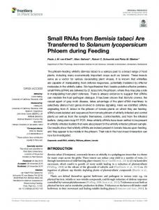 Small RNAs from Bemisia tabaci Are Transferred ... - Semantic Scholar