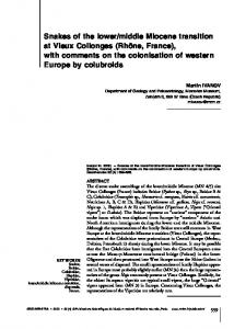 Snakes of the lower/middle Miocene transition at Vieux Collonges ...