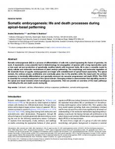 Somatic embryogenesis: life and death processes
