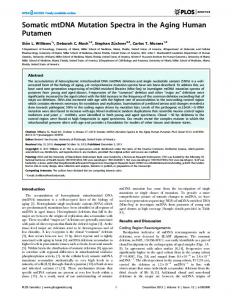 Somatic mtDNA Mutation Spectra in the Aging ... - Semantic Scholar