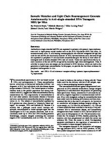 Somatic Mutation and Light Chain Rearrangement ... - BioMedSearch