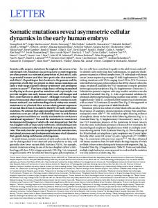 Somatic mutations reveal asymmetric cellular dynamics in the ... - Nature