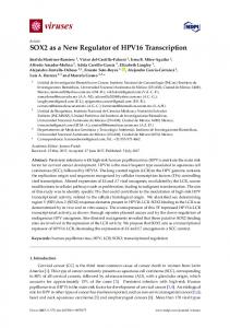 SOX2 as a New Regulator of HPV16 Transcription - MDPI