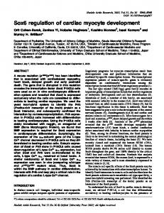 Sox6 regulation of cardiac myocyte development - BioMedSearch