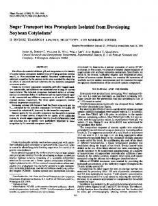 Soybean Cotyledons - NCBI