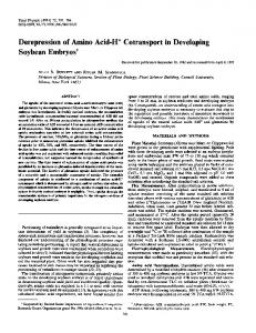 Soybean Embryos - NCBI