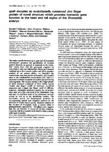 spalt encodes an evolutionarily conserved zinc finger protein of ... - NCBI