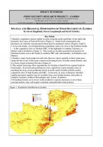 Spatial and Regional Dimensions of Food ... - MSU Food Security Group